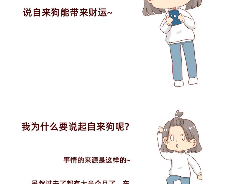 加零的漫畫日記 - 雙11我家來了條單身狗 - 3