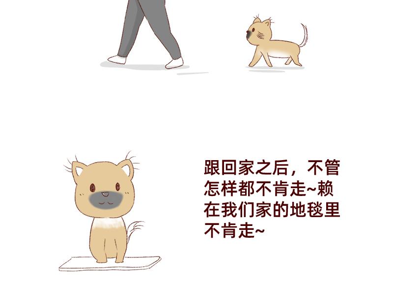 加零的漫畫日記 - 雙11我家來了條單身狗 - 5