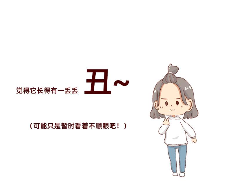 加零的漫畫日記 - 雙11我家來了條單身狗 - 2