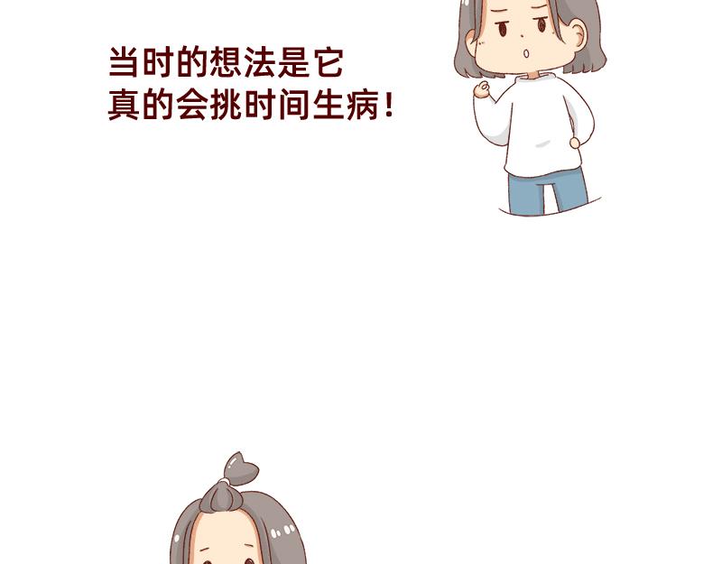 加零的漫畫日記 - 養寵物就要負責到底！ - 5