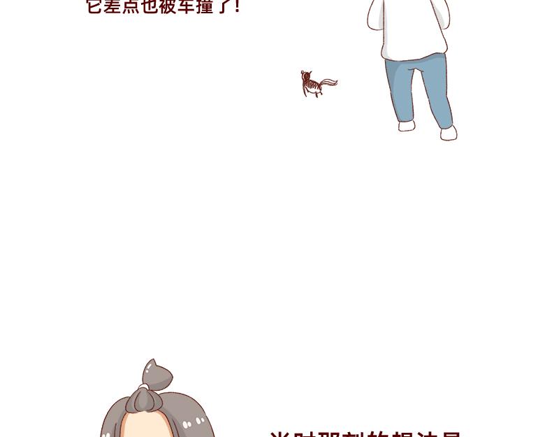 加零的漫畫日記 - 養寵物就要負責到底！ - 3