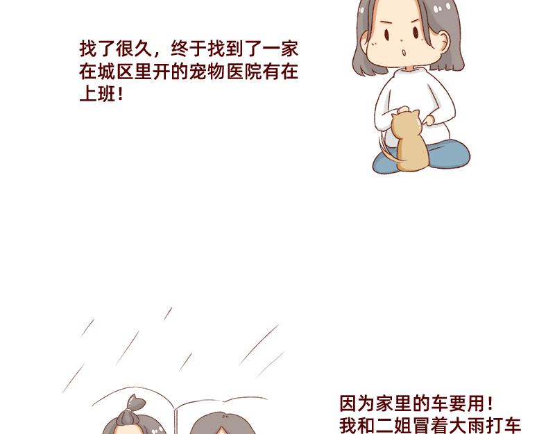 加零的漫畫日記 - 養寵物就要負責到底！ - 3