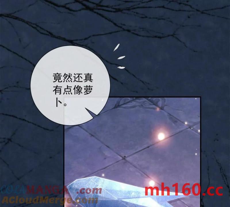 第38话 看冰灯(1/2)-第39话