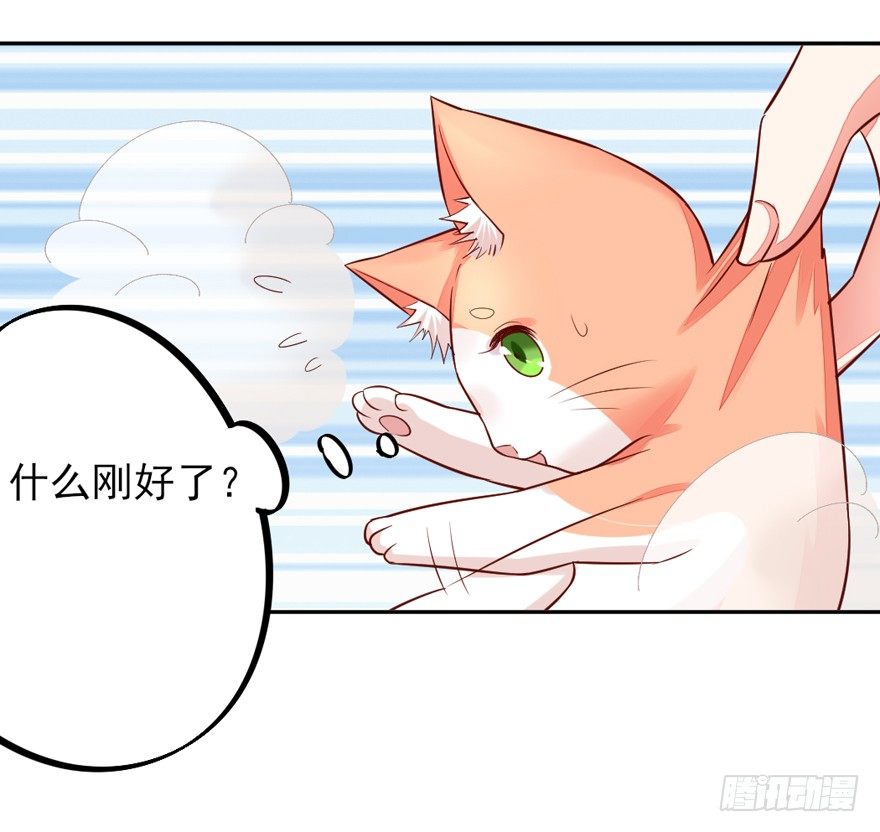 一起洗澡澡(1/2)-第15话