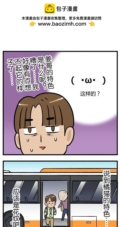 第11回 从此，我看到的橘猫都像姜哥-第11话