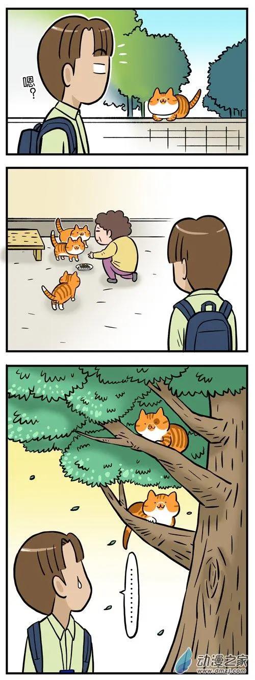 第11回 从此，我看到的橘猫都像姜哥-第11话