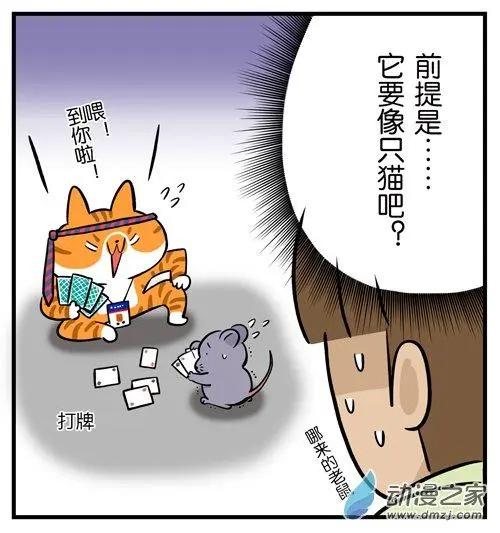 第13回 拍猫太丑因你手速太慢-第13话