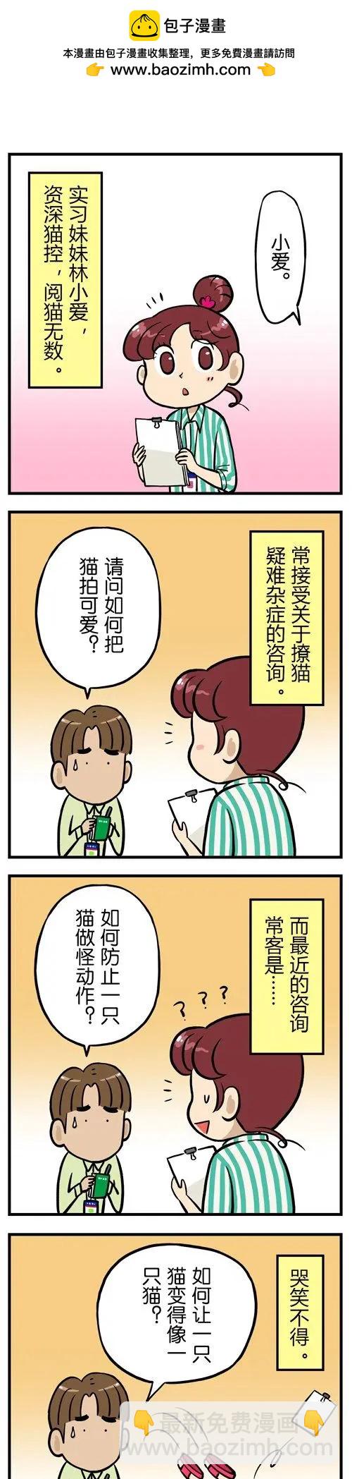 第15回 血泪控诉：吸猫就是一种骚扰！-第15话