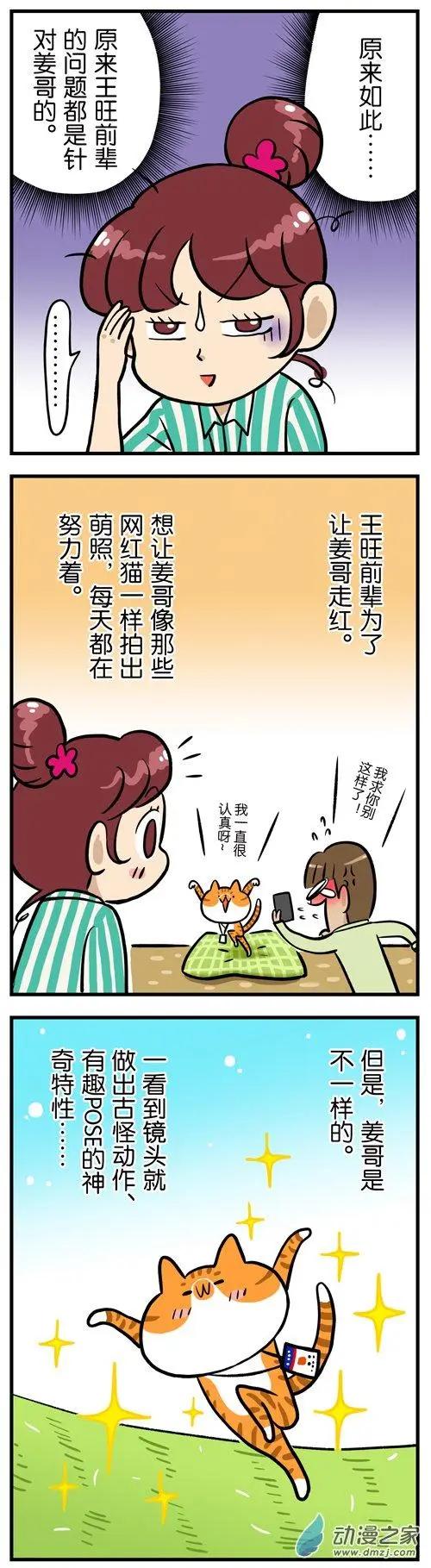 第15回 血泪控诉：吸猫就是一种骚扰！-第15话