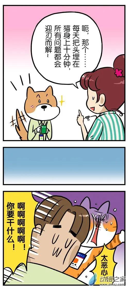 第15回 血泪控诉：吸猫就是一种骚扰！-第15话