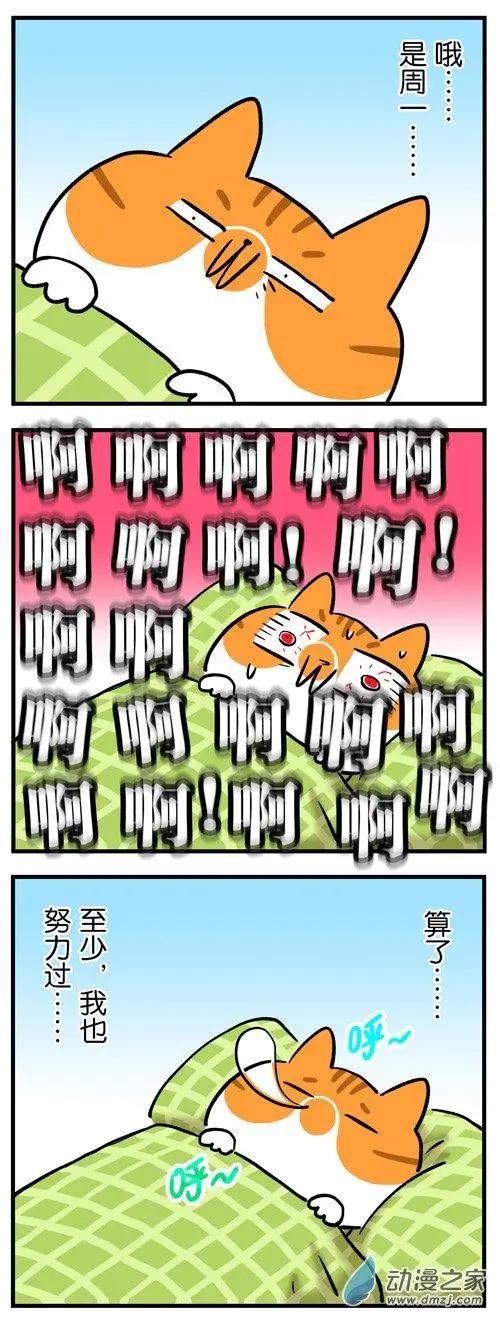 第17回 我也想做一只不用上班的猫-第17话