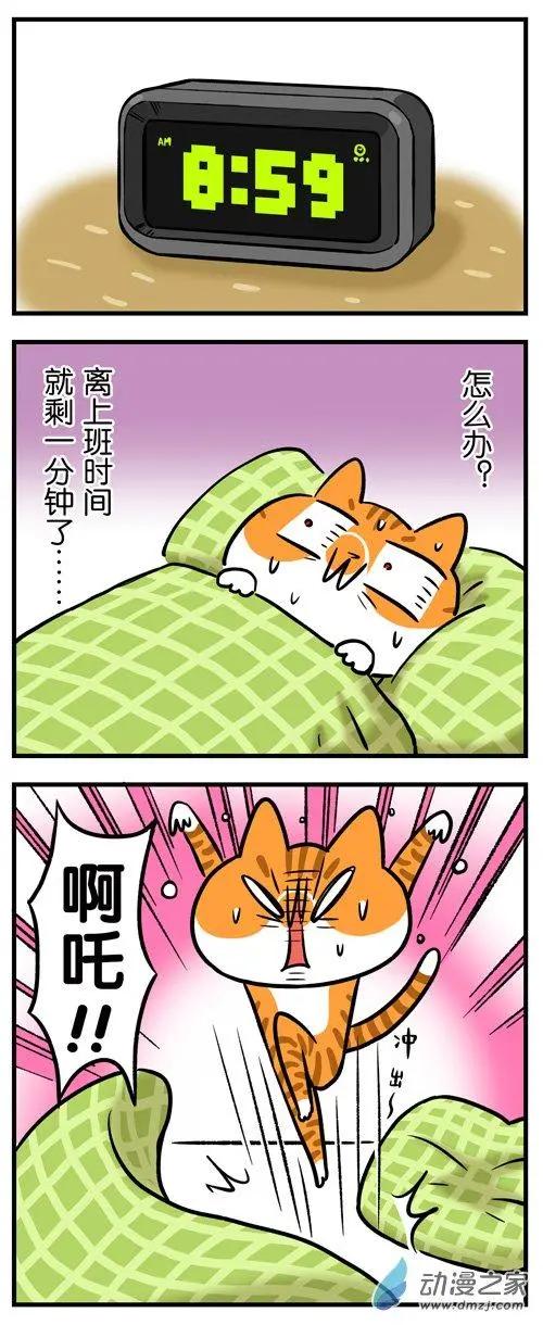 第17回 我也想做一只不用上班的猫-第17话