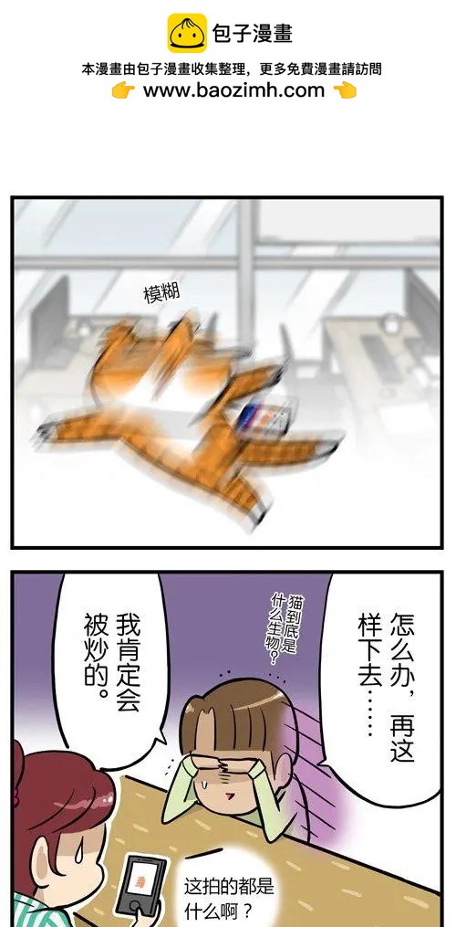 第19回 爱狗的人，无法真正爱猫？-第19话