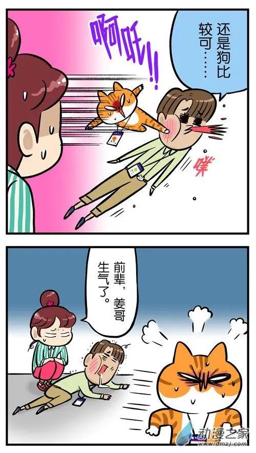 第19回 爱狗的人，无法真正爱猫？-第19话