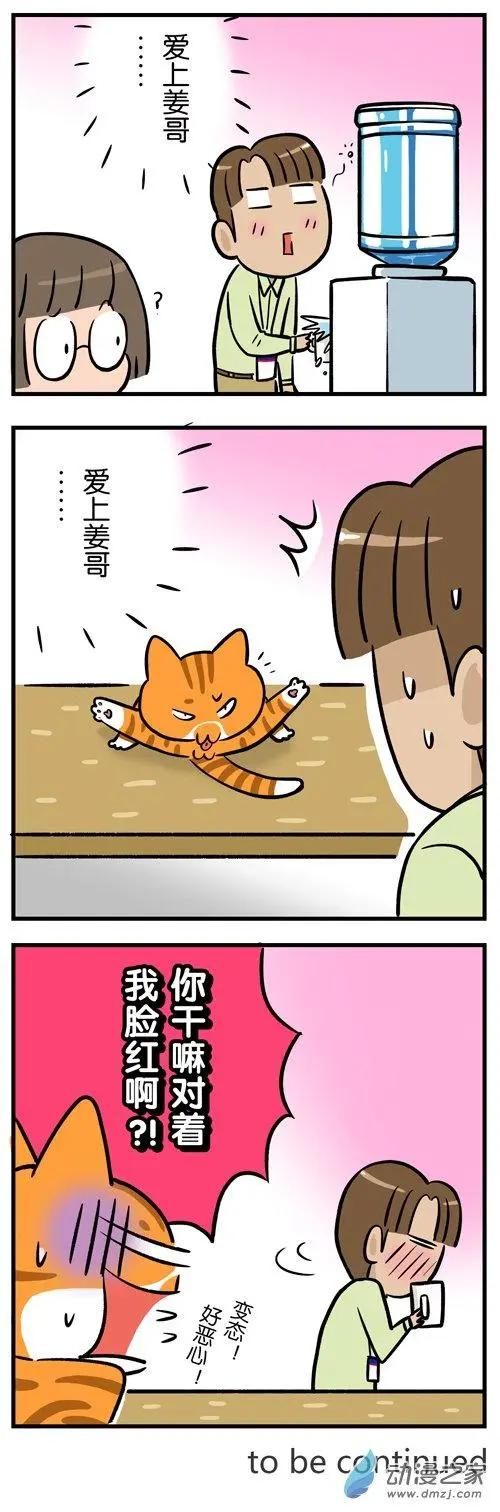 第19回 爱狗的人，无法真正爱猫？-第19话