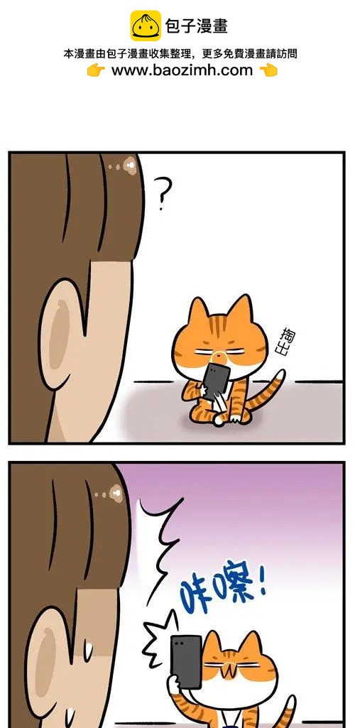 第23回 自从养了猫再也不能好好上过厕所-第23话