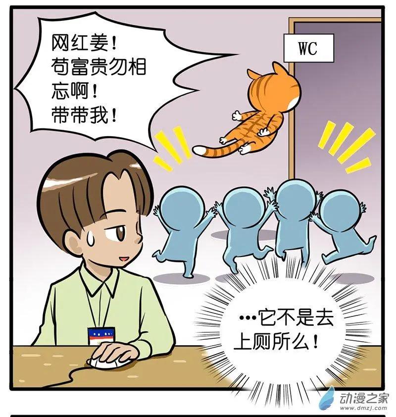 第27回 猫生最膨胀的事，就是被你喜欢-第27话