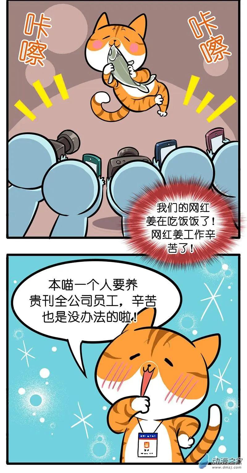 第27回 猫生最膨胀的事，就是被你喜欢-第27话