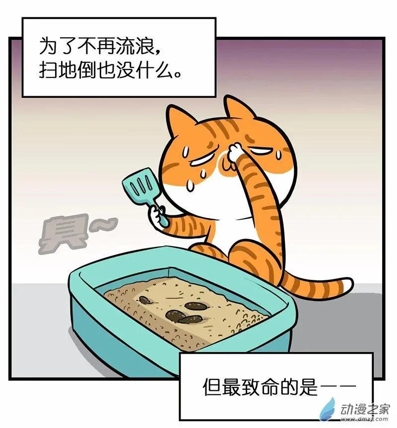 第29回 日常-第29话