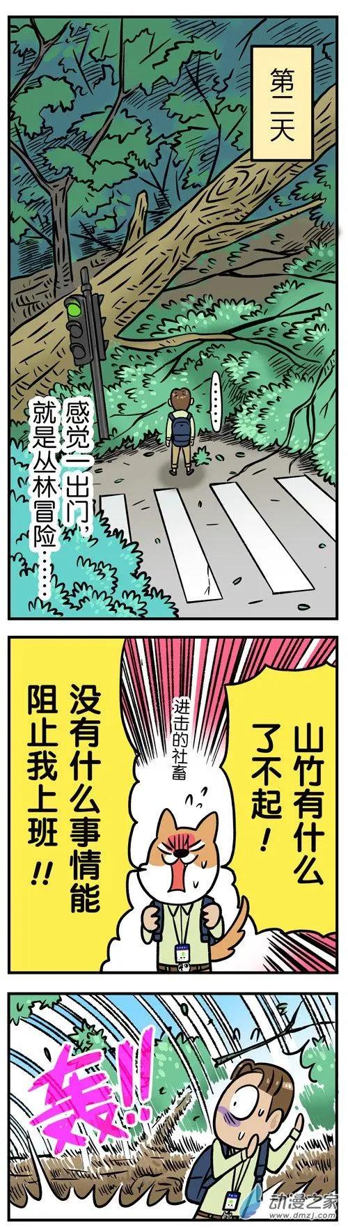 番外篇 18级&ldquo;猫爪风暴&rdquo;登陆！-第7话