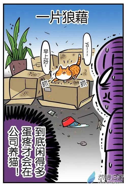 第09回 猫的&ldquo;礼物&rdquo;，不是谁都能收到-第9话