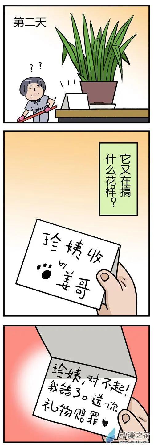 第09回 猫的&ldquo;礼物&rdquo;，不是谁都能收到-第9话