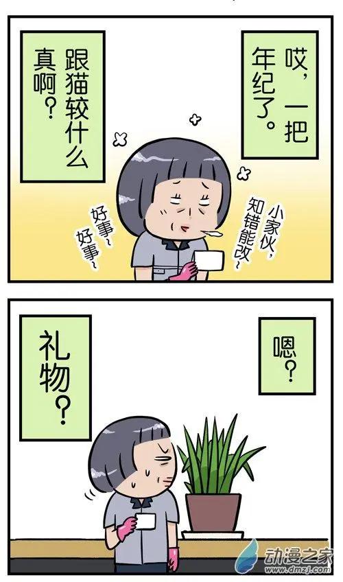 第09回 猫的&ldquo;礼物&rdquo;，不是谁都能收到-第9话