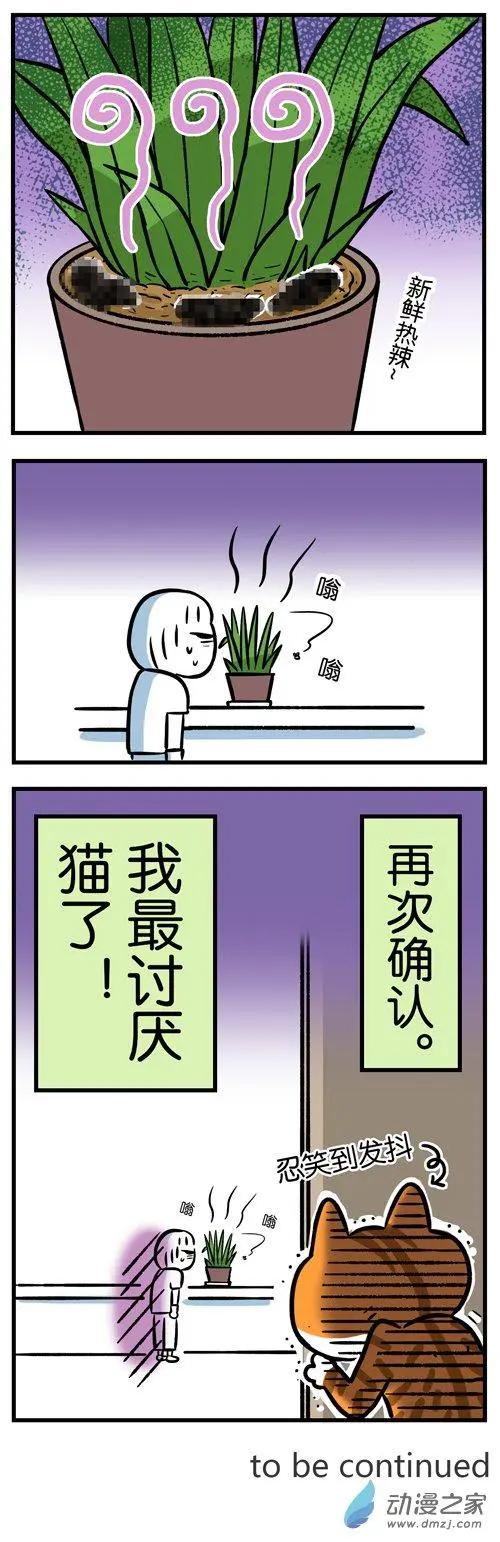 第09回 猫的&ldquo;礼物&rdquo;，不是谁都能收到-第9话