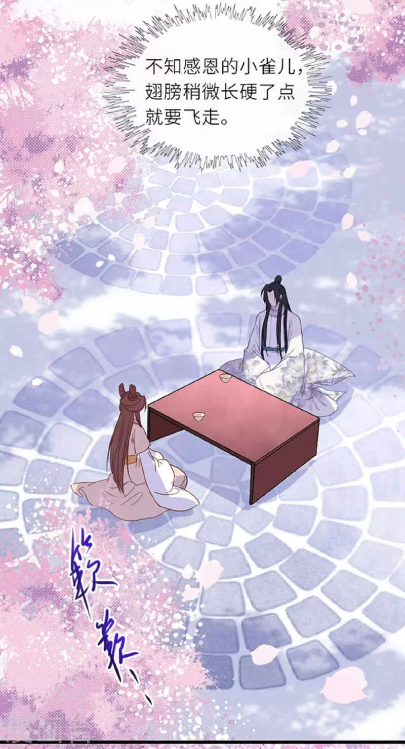 第12话 花下饮酒醉-第13话