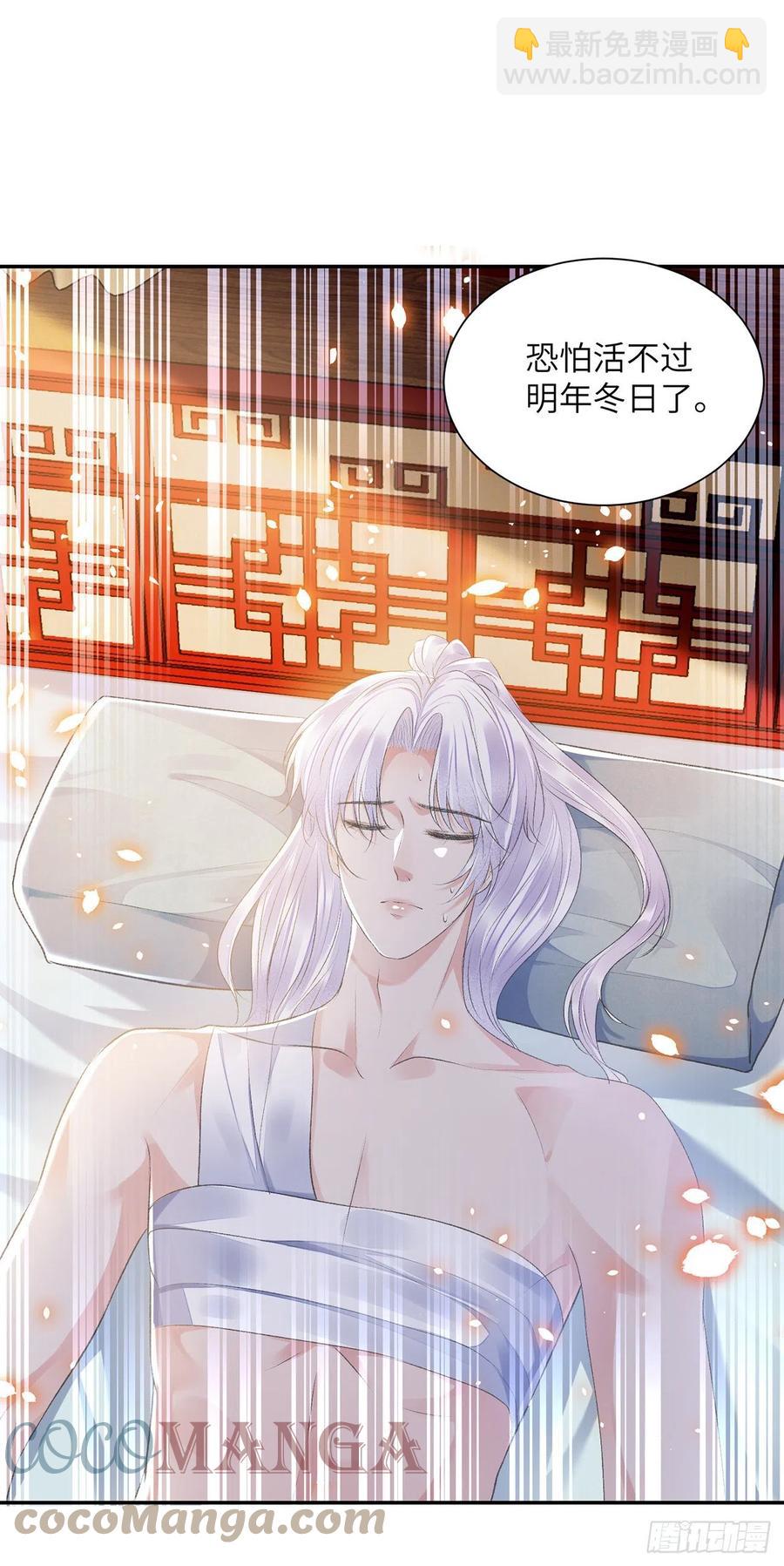 第27话 寻药-第31话