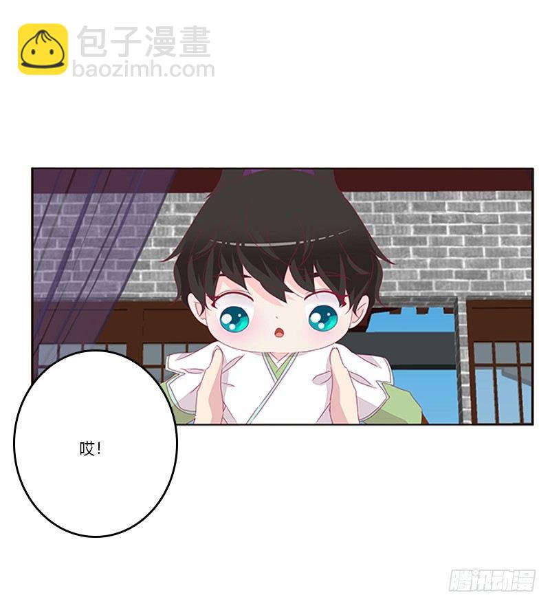 湛儿的小弟弟(1/2)-第51话