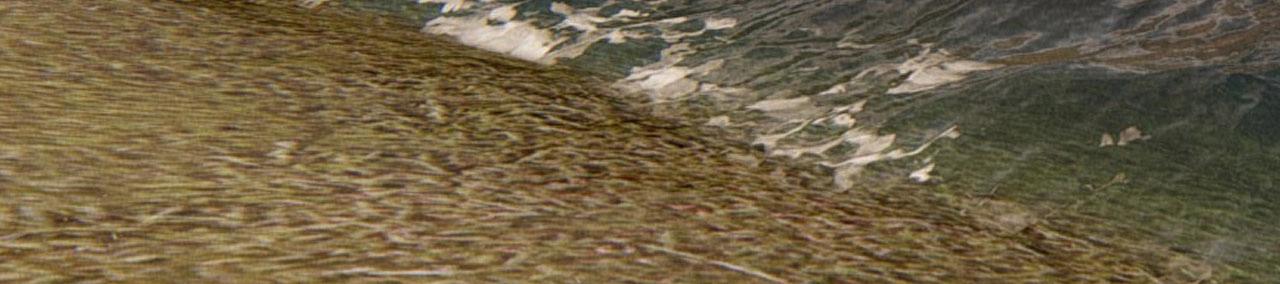 第五十九话 等你醒来我就娶你(1/2)-第61话