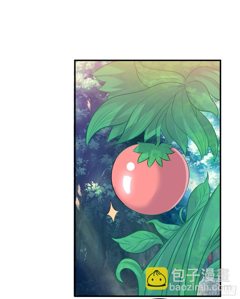 第92话 主人，你听谁的？~(1/2)-第95话