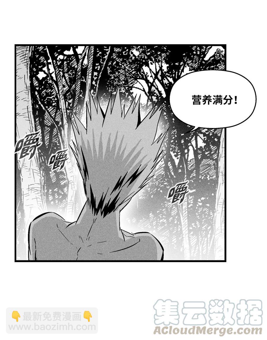 027 丛林妖气(1/2)-第27话