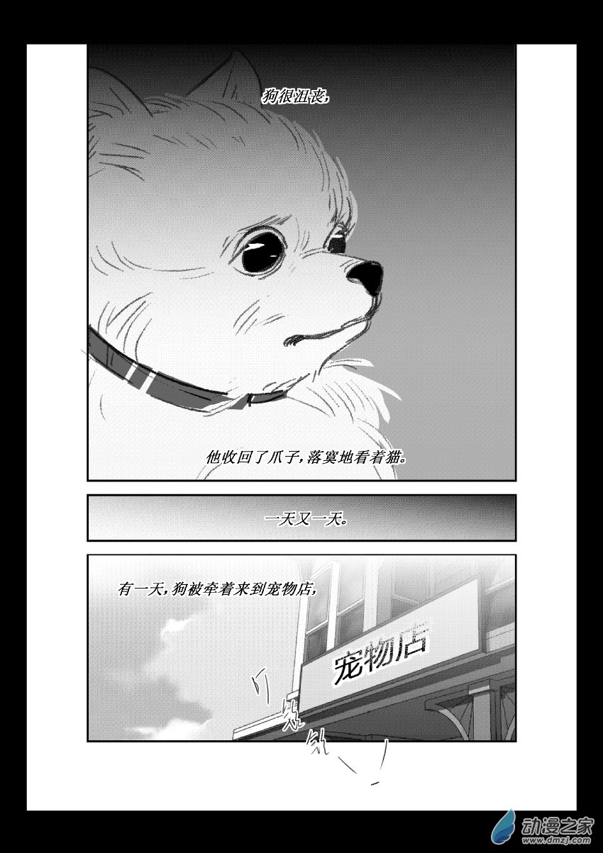 第36话 猫和狗和人（一）9