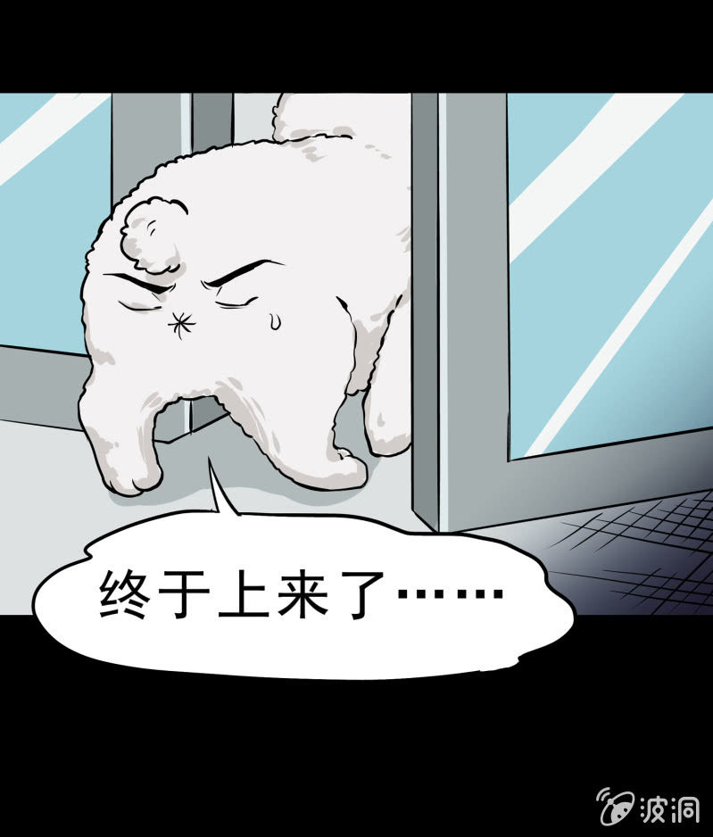 寄生兄弟2(1/2)-第19话