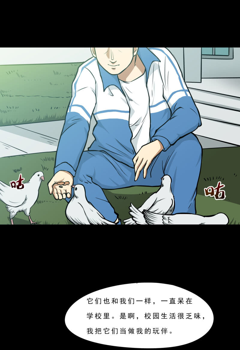 崭新的一天1(1/2)-第23话