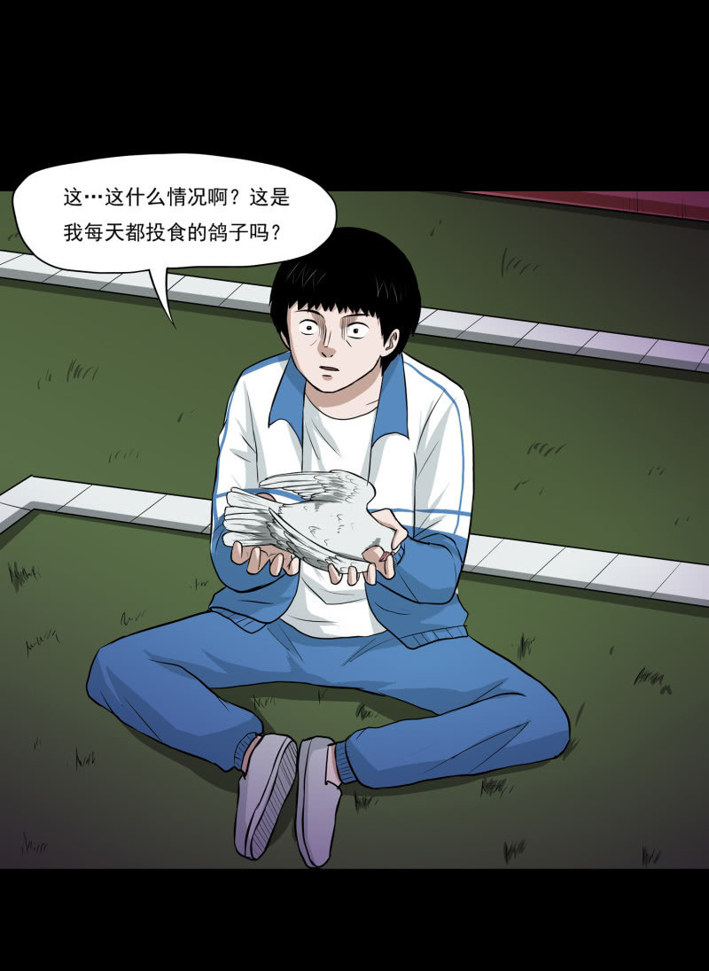 崭新的一天1(1/2)-第23话