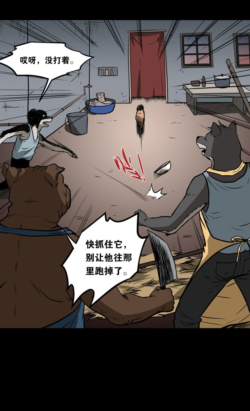 狗灵&middot;异世界4(1/2)-第31话