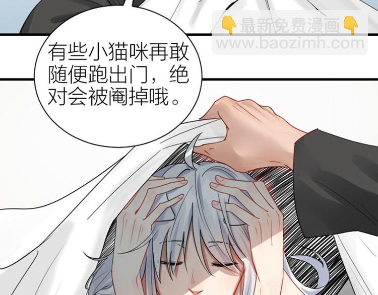 第272-273话 温暖的狗狗(1/2)-第135话