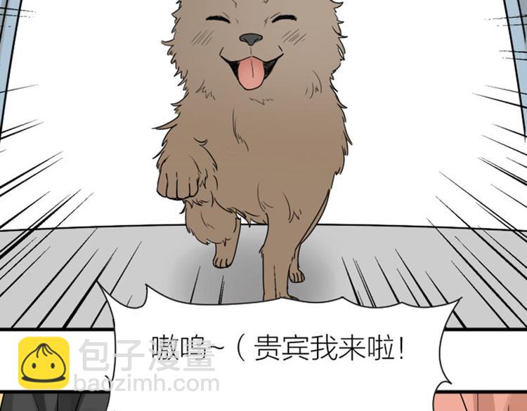 第272-273话 温暖的狗狗(1/2)-第135话