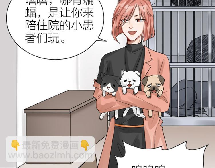 第272-273话 温暖的狗狗(1/2)-第135话