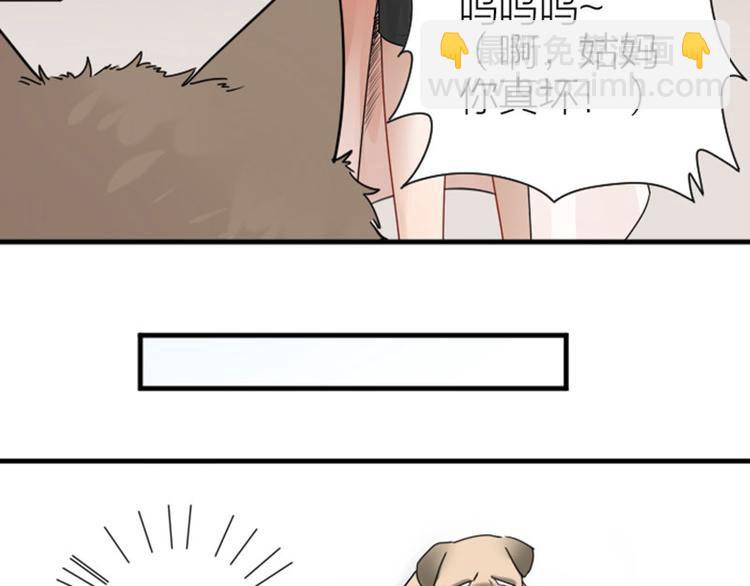 第272-273话 温暖的狗狗(1/2)-第135话