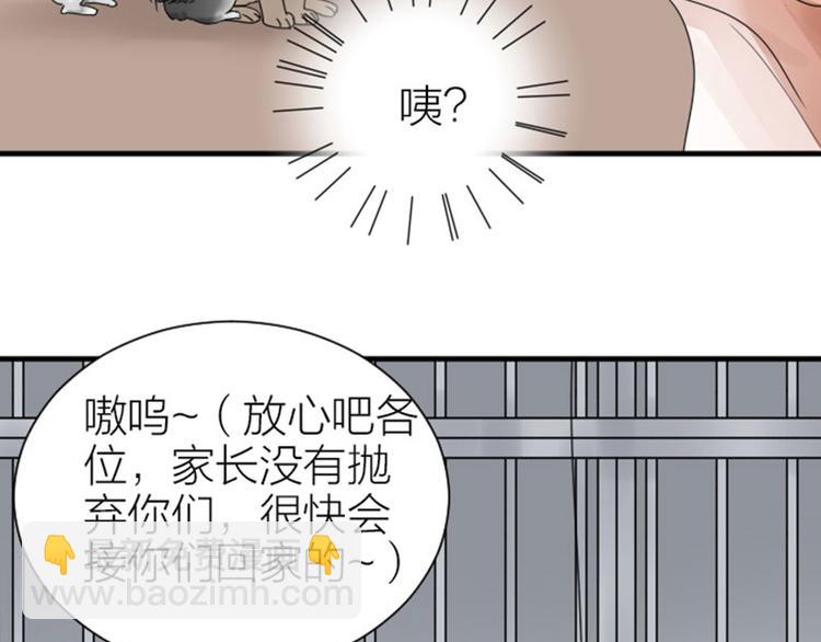 第272-273话 温暖的狗狗(1/2)-第135话