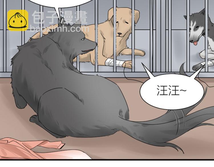 降智小甜餅 - 第272-273話 溫暖的狗狗(1/2) - 2