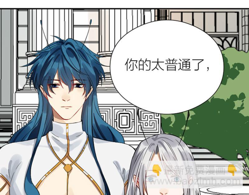 第332-333话 一线希望？(1/2)-第163话