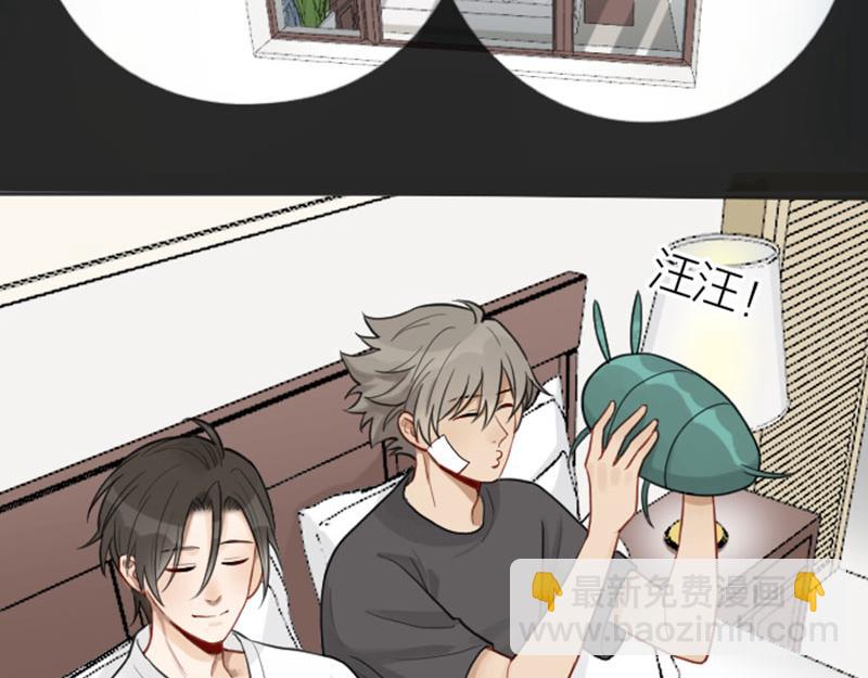 番外5 平平淡淡才是真-第211话