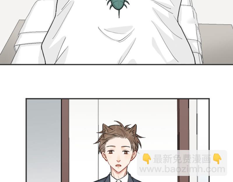 番外5 平平淡淡才是真-第211话