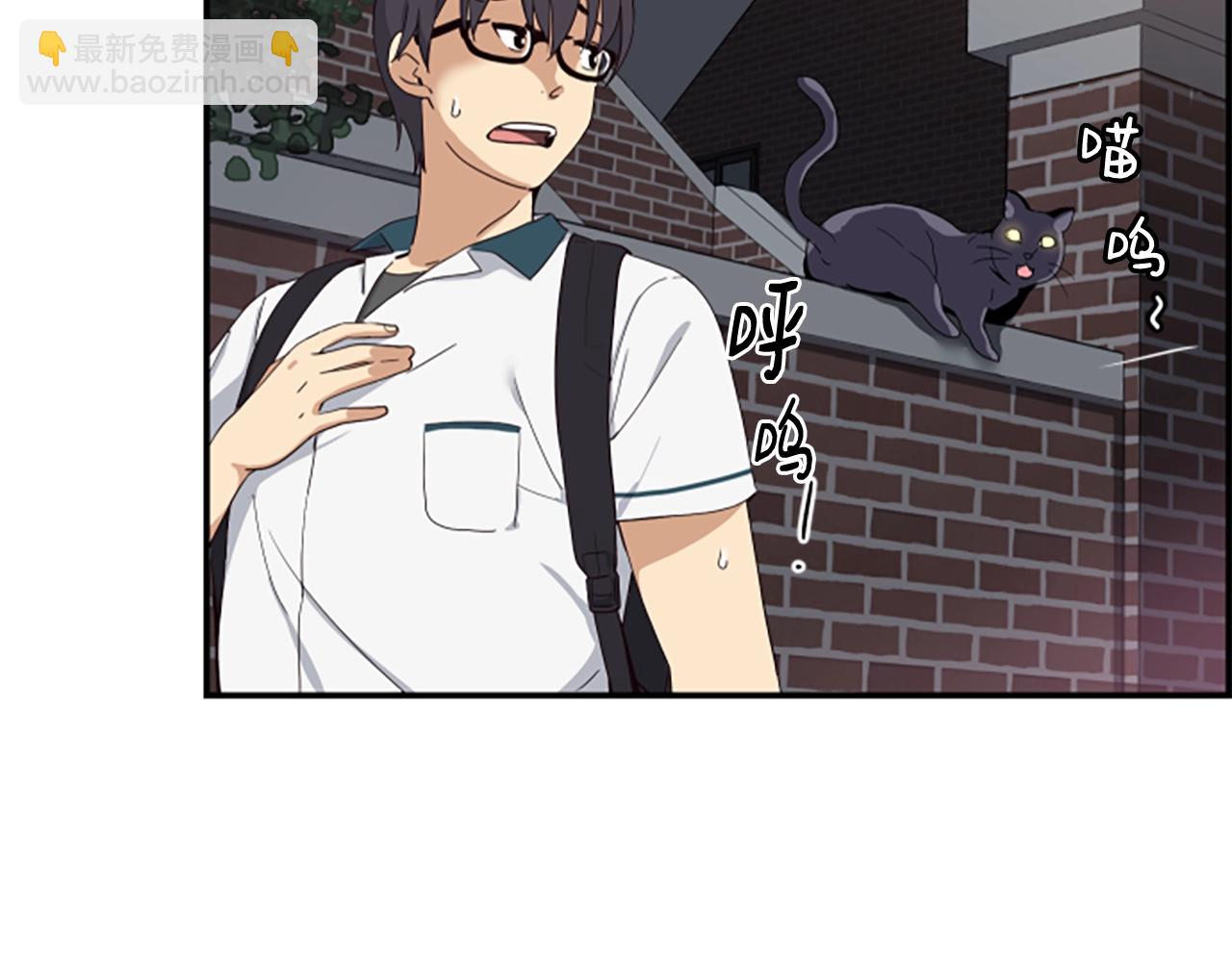 撿回一個異界女團 - 第2話 一個不夠那就一羣！(1/5) - 2