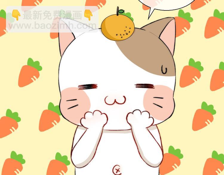 第14话 睡不着的夜晚(1/3)-第17话